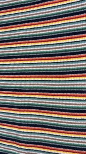 Just USA Striped Ribbed Crop Top thumbnail 3