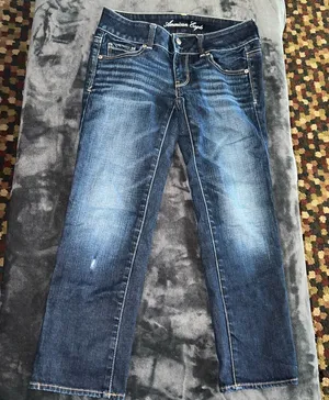 American Eagle Outfitters Artist Jean Size 2 Regular thumbnail 1