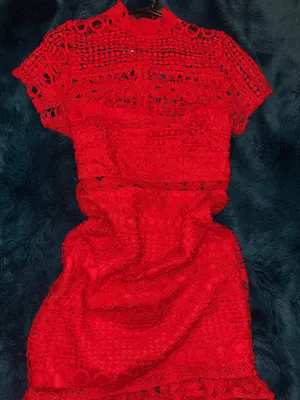Hello Molly Red Lace Mini Dress thumbnail 1