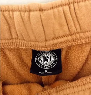 PacSun Shorts thumbnail 2