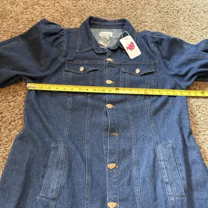 L'atiste By Amy Puff Sleeve Button Up Denim Dress Size 1X NWT thumbnail 5