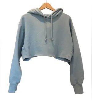Aritzia Tna Hoodie Blue Cropped Cozy AF Size 2 thumbnail 1