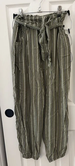 American Eagle Soft Striped Pants thumbnail 1
