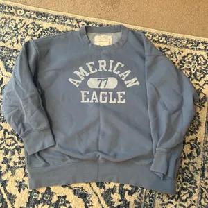 American Eagle Outfitters Blue Crewneck thumbnail 1