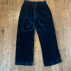 J.Crew velvet black high rise pull on pants size 2 thumbnail 9