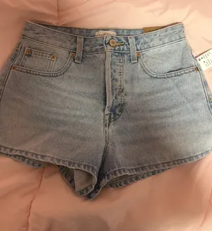 PacSun Shorts thumbnail 1
