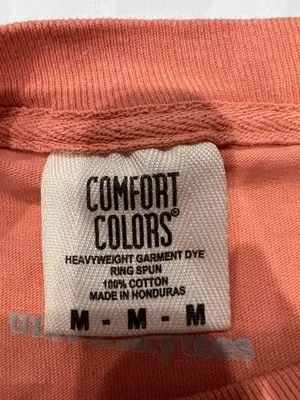 Comfort Colors Delta Zeta Tee thumbnail 2