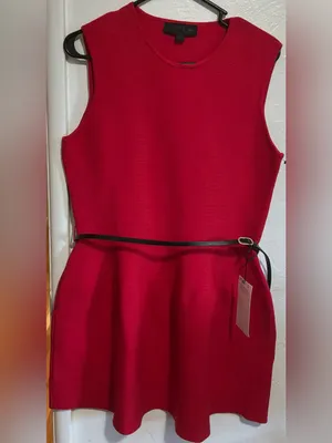 #80 NWT Zara Red Sleeveless A-Line Mini Dress Size Large thumbnail 3