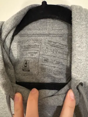 Patagonia Hoodie Grey thumbnail 3