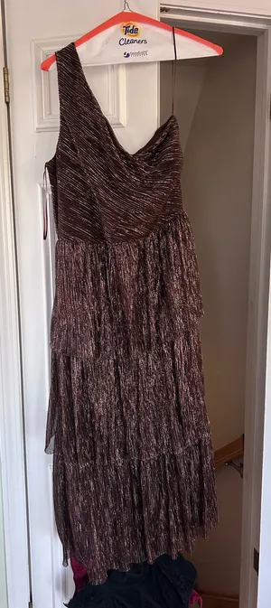Francesca's Dress thumbnail 1