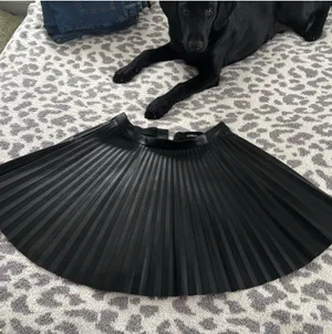 Express Skirt thumbnail 2