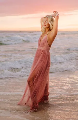 Windsor Mesh Long Dress thumbnail 2
