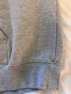 Aritzia Sweatfleece Hoodie thumbnail 4