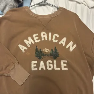 American Eagle Outfitters Brown Sweatshirt thumbnail 1