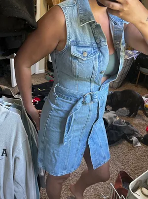 Rails denim dress  thumbnail 3