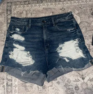 American Eagle Outfitters Shorts thumbnail 1