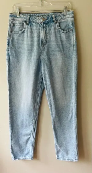 American Eagle Sz 10 Strigid Mom Jeans high rise denim Pants thumbnail 1