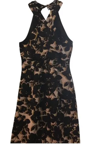 OUTBACK RED Floral Halter‎ Neck Knee Length Dress Women's Black Tan White Size 8 thumbnail 1
