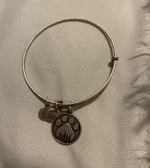 Bangle Bracelet thumbnail 1