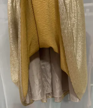 Gold Dress thumbnail 3