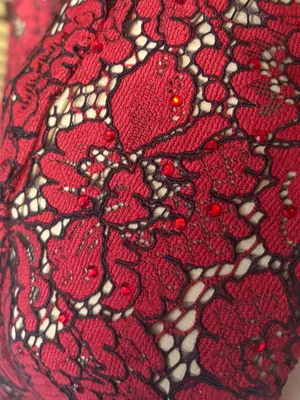 Ellie Wilde mon Cheri red and tan lace gown size 4 thumbnail 13