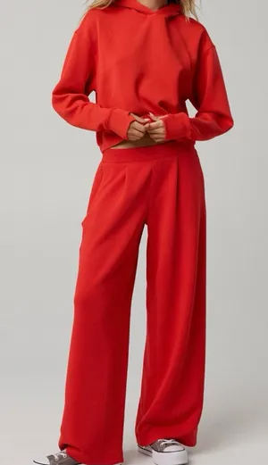 Offline by Aerie Trouser, NWT! Price firm! thumbnail 1