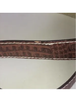 Brown Croc-Embossed Faux Leather Belt with Brass Buckle thumbnail 6