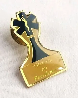 Vintage Emergency Medical Services Nurse Doctor Excellence Badge Lapel‎ Pin EMT thumbnail 1