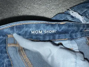 American Eagle Outfitters Shorts thumbnail 4