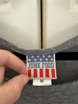 Junk Food Minnesota Vikings Game Day Oversized T-Shirt Gray Size Medium thumbnail 5
