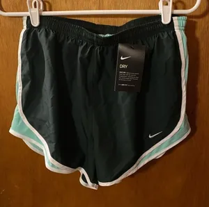 Nike  dry running shorts thumbnail 1