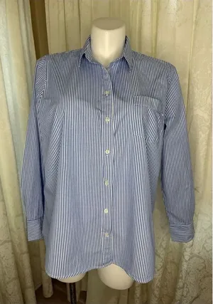 J. Crew Blue and White Striped Women’s Button-Down Shirt thumbnail 1