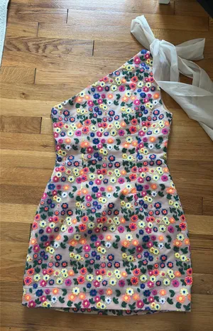 Elliatt Dress  thumbnail 1