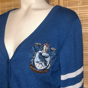 Harry Potter Blue Ravenclaw Cardigan Academic Varsity Stripe sweater Large thumbnail 2