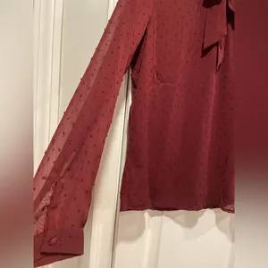 NWT Aconiya Size M Burgundy Swiss Dot Chiffon Lined High Neck Bow Lined Top thumbnail 4