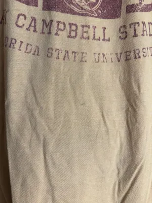 fanatics florida state FSU doak campbell stadium tee thumbnail 2