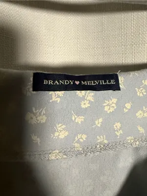 Brandy Melville Colleen Dress Blue Floral Ruffle Hem Tie Back Dress thumbnail 4
