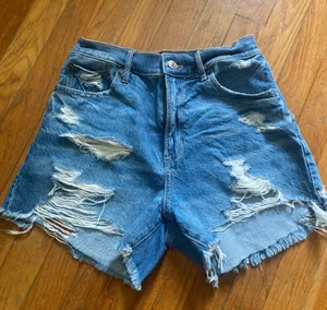 American Eagle Shorts thumbnail 1