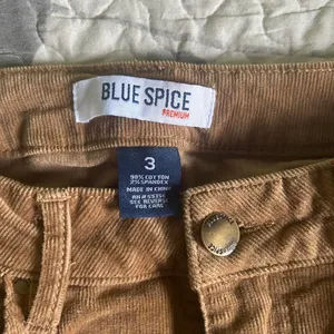 Blue Spice Corduroy Flare Pants thumbnail 2