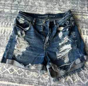 American Eagle Outfitters Shorts thumbnail 1