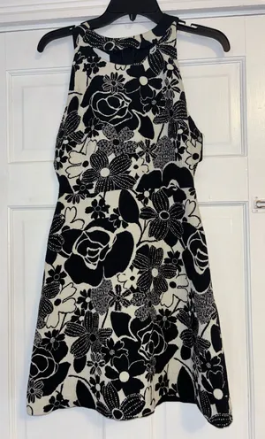 Zara Basic White Black Sleeveless Fit and Flare Dress S Floral Cut Out Back thumbnail 1