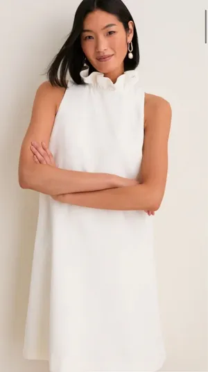 Tuckernuck Dress thumbnail 1