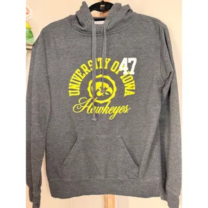 Jones & Mitchell University of Iowa Hawkeyes Hoodie Grey Glitter Hearts Large thumbnail 3