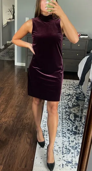 Ann Taylor Plum Velvet Dress thumbnail 1