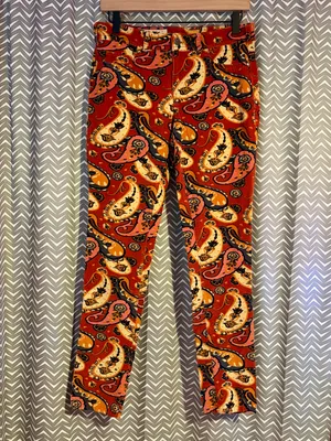 NWOT Anthropologie / Pilcro and Letterpress | Corduroy Paisley Skinny Pants, 29 thumbnail 2
