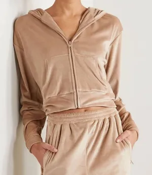 NWT Skims Velour Hoodie  thumbnail 1
