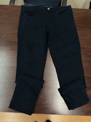 American Eagle Navy Super Stretch Jegging Pants Size 18 Long thumbnail 1