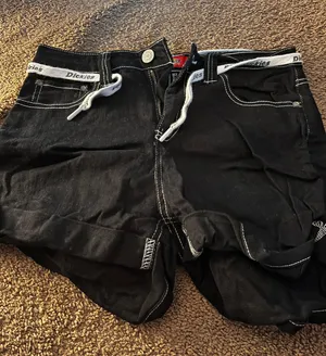Dickies Shorts thumbnail 1