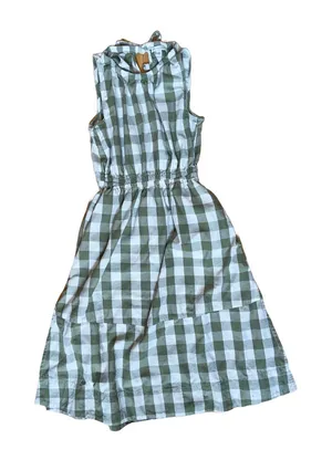 Sleeveless Fit and Flare Green Gingham Maxi Dress 🔥 thumbnail 1