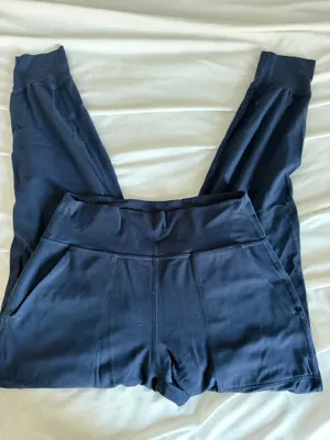 Align Lululemon 25" Joggers thumbnail 1